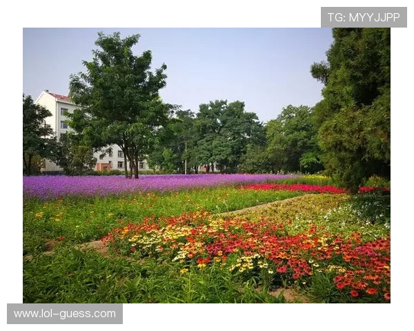 皮尔洛的落叶球，曾经是多少人的青春回忆